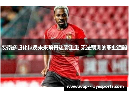 费南多归化球员未来前景迷雾重重 无法预测的职业道路