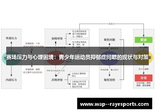 赛场压力与心理困境：青少年运动员抑郁症问题的现状与对策