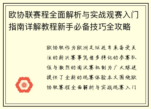 欧协联赛程全面解析与实战观赛入门指南详解教程新手必备技巧全攻略